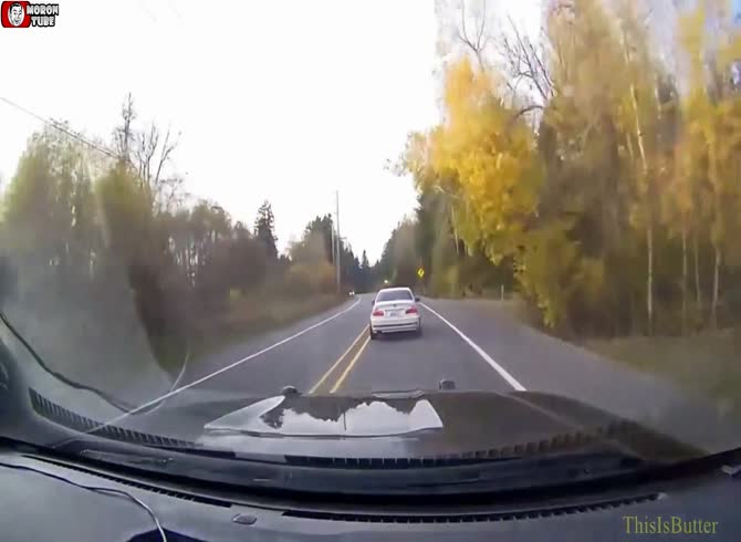 Video :Following an automobile chase in Thurston, police halted a spectacular driver pursuit